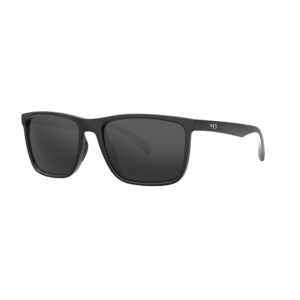 Óculos HB Iconic Gloss Black Gray
