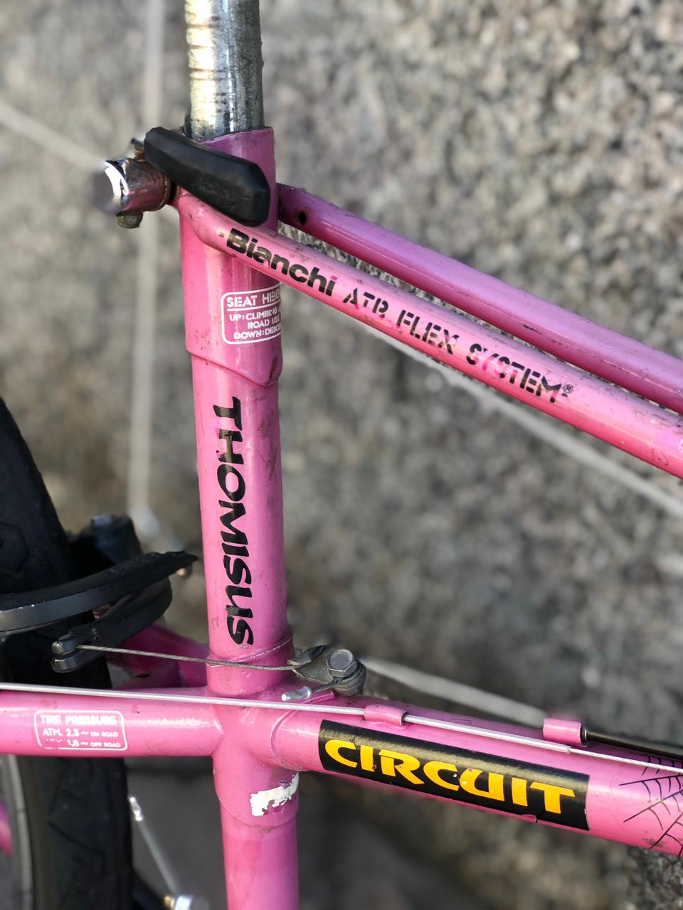 Bicicleta Bianchi Thomisus Raridade - Imagem 3